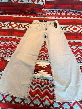 7 For All Mankind Lotta Tailorless Jeans in Frozen